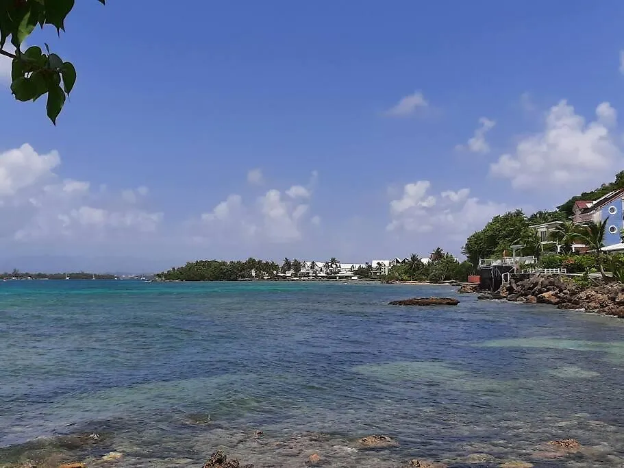 Appartement Studio Cosy A Bas-Du-Fort Le Gosier  Guadeloupe